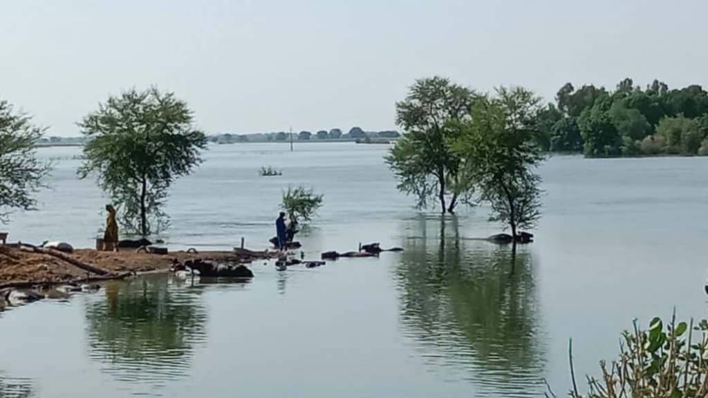 Residents seek safety from 2022 floodwaters in Pakistan