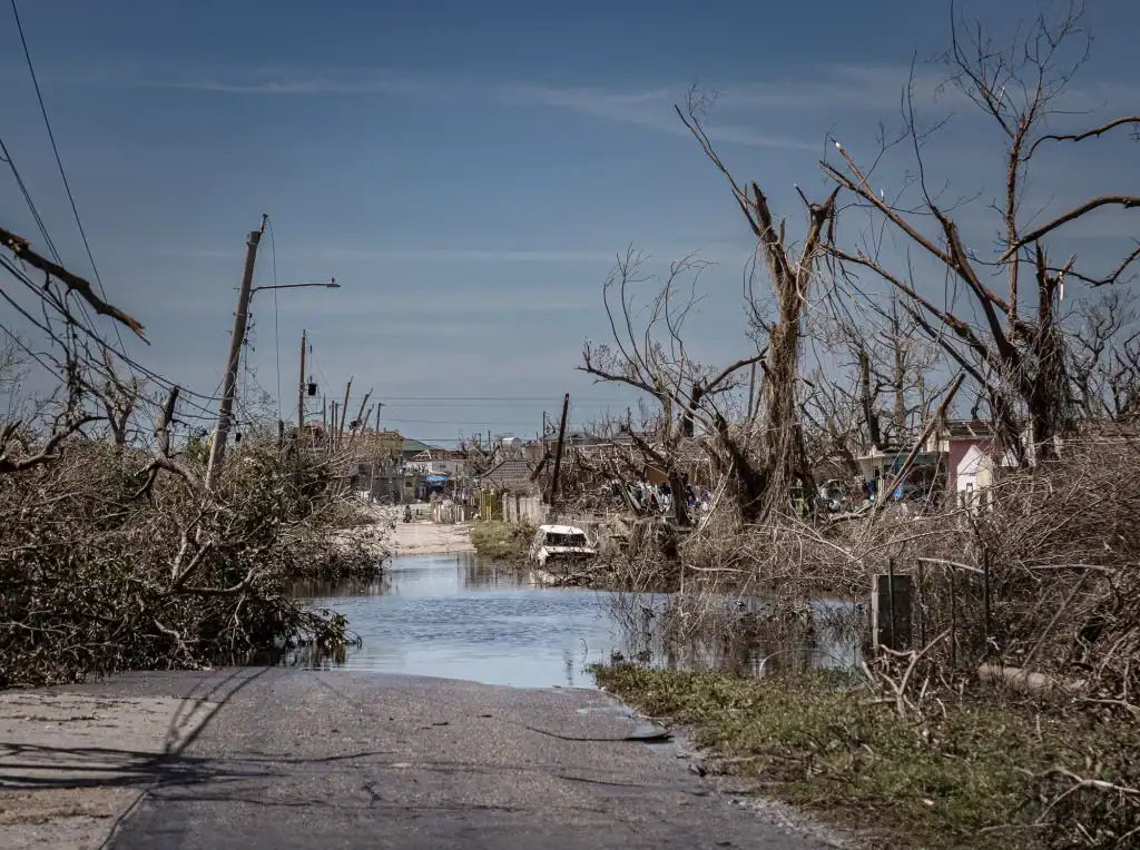 Flooded residential area with damaged trees and debris after a disaster, highlighting emergency reli.