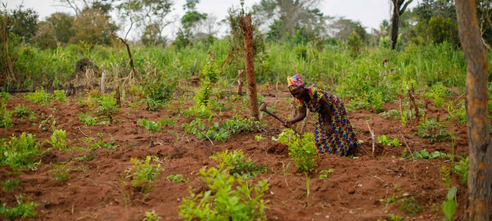 DRC-Sustainable Farming-Women Farmers-15