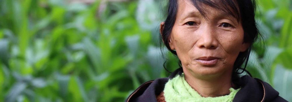 Myanmar Woman in Field_Agriculture_Livelihoods_corn